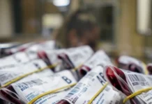 Falta de sangue em SC coloca hospitais em alerta Falta de sangue em SC coloca hospitais em alerta