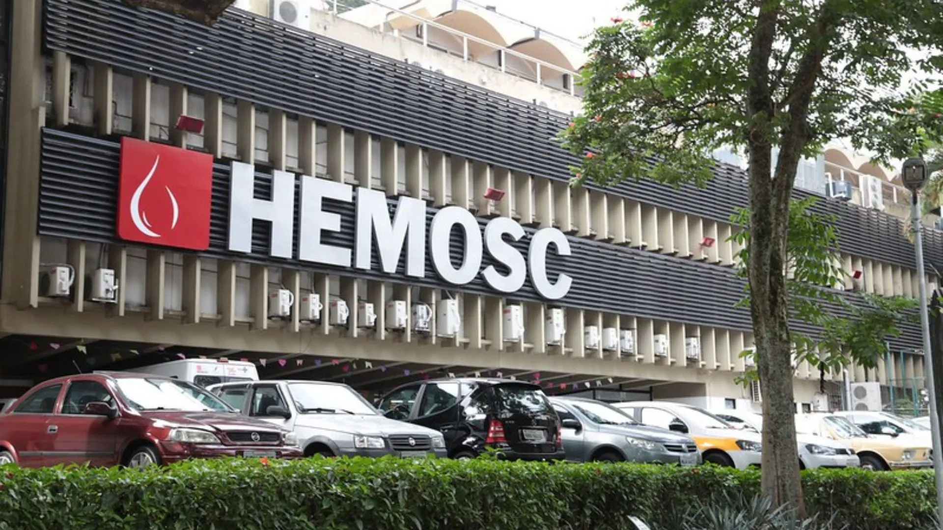 HEMOSC celebra e homenageia doadores