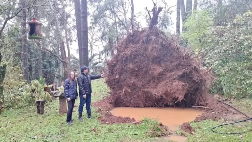Vento forte e chuva causam destruição em Herval d’Oeste