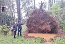 Vento forte e chuva causam destruição em Herval d’Oeste