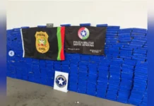 Quase meia tonelada de maconha é apreendida no Oeste do Estado