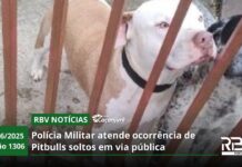 RBV Notícias Caçador – 04/06/2025 – Edição 1306