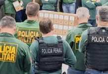 GAECO cumpre mais de 90 mandados contra organização criminosa na Serra e Oeste de SC