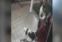 Bebê de 9 meses engasga e é salvo por PM em Ibiam