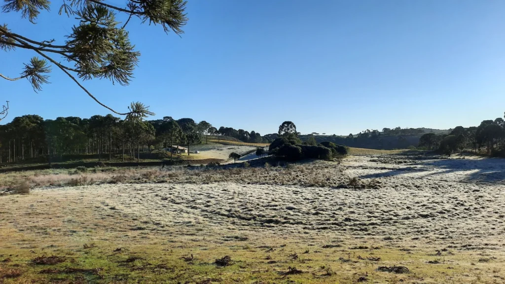Terça-feira começa fria e com geada em Santa Catarina
