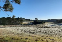 Terça-feira começa fria e com geada em Santa Catarina Terça-feira começa fria e com geada em Santa Catarina