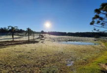 Frente fria avança e traz manhãs geladas em Santa Catarina