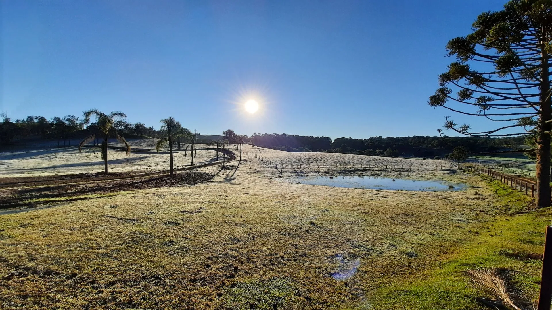 Frente fria avança e traz manhãs geladas em Santa Catarina