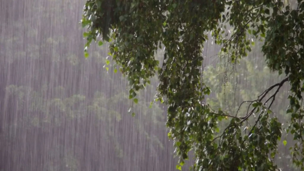 Terça-feira terá chuva persistente e risco de alagamentos