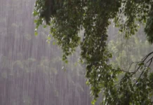 Terça-feira terá chuva persistente e risco de alagamentos Terça-feira terá chuva persistente e risco de alagamentos