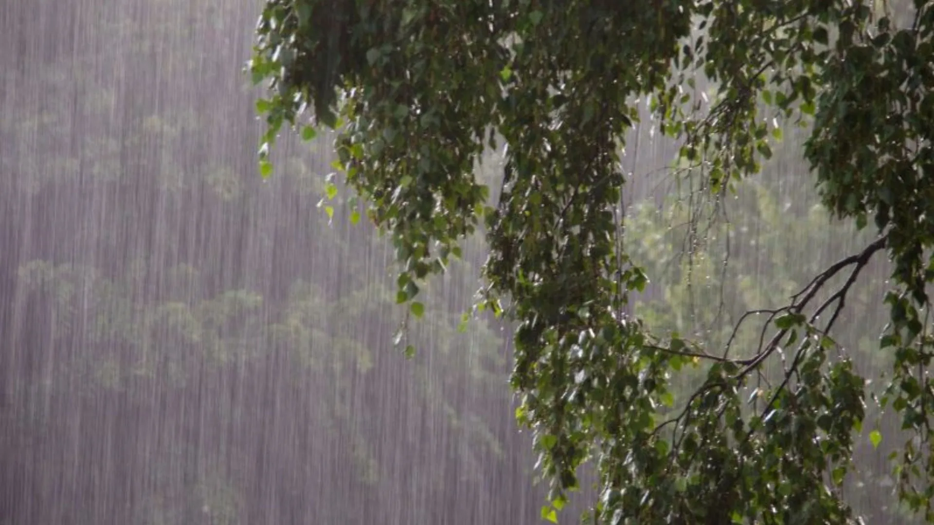Terça-feira terá chuva persistente e risco de alagamentos