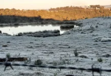 Terça-feira terá frio intenso e mar agitado em SC Terça-feira terá frio intenso e mar agitado em SC