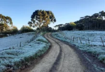 SC registra temperaturas negativas e sensação térmica de -10°C