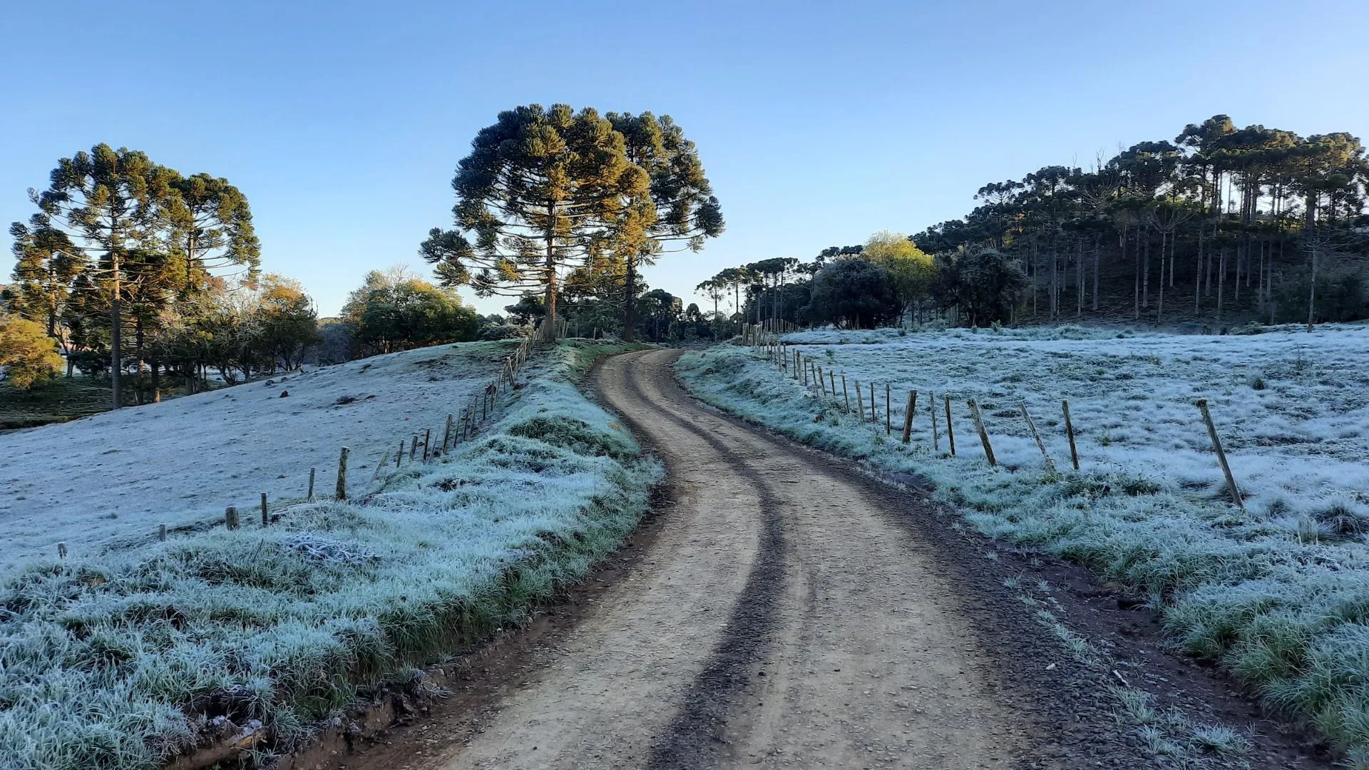 Previsão do Tempo: Santa Catarina com frio intenso