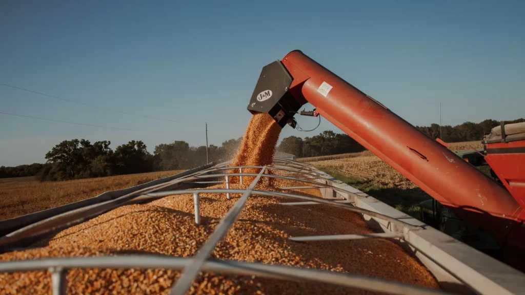 Recorde na produção de grãos expõe falta de armazéns em SC