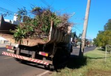 SDU de Videira recolhe mais de 680 toneladas de entulhos e galhos em cinco meses