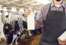 Iomerê realiza XV Seminário do leite com palestras e dia de campo