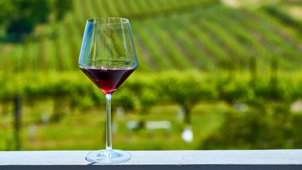 Epagri apoia produtores na qualidade e legalização de vinhos artesanais