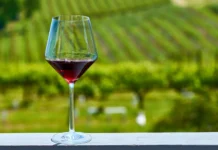 Epagri apoia produtores na qualidade e legalização de vinhos artesanais