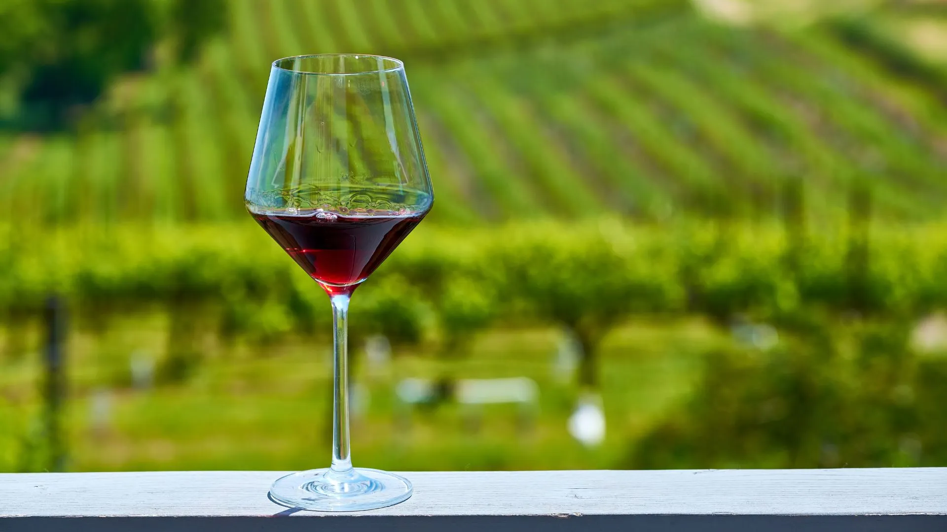 Epagri apoia produtores na qualidade e legalização de vinhos artesanais