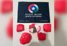 Polícia Militar apreende meio quilo de maconha em ocorrência