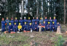 Treinamento reforça preparo dos bombeiros para emergências com árvores