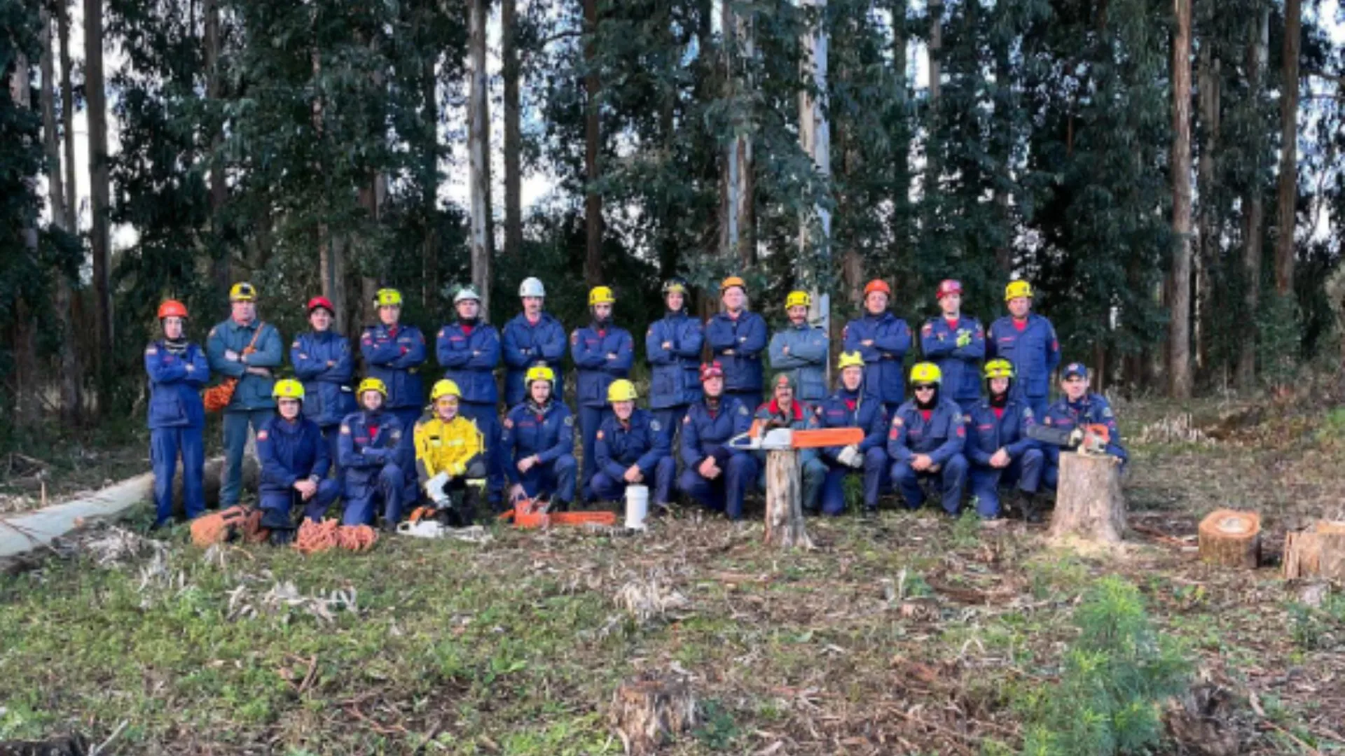 Treinamento reforça preparo dos bombeiros para emergências com árvores
