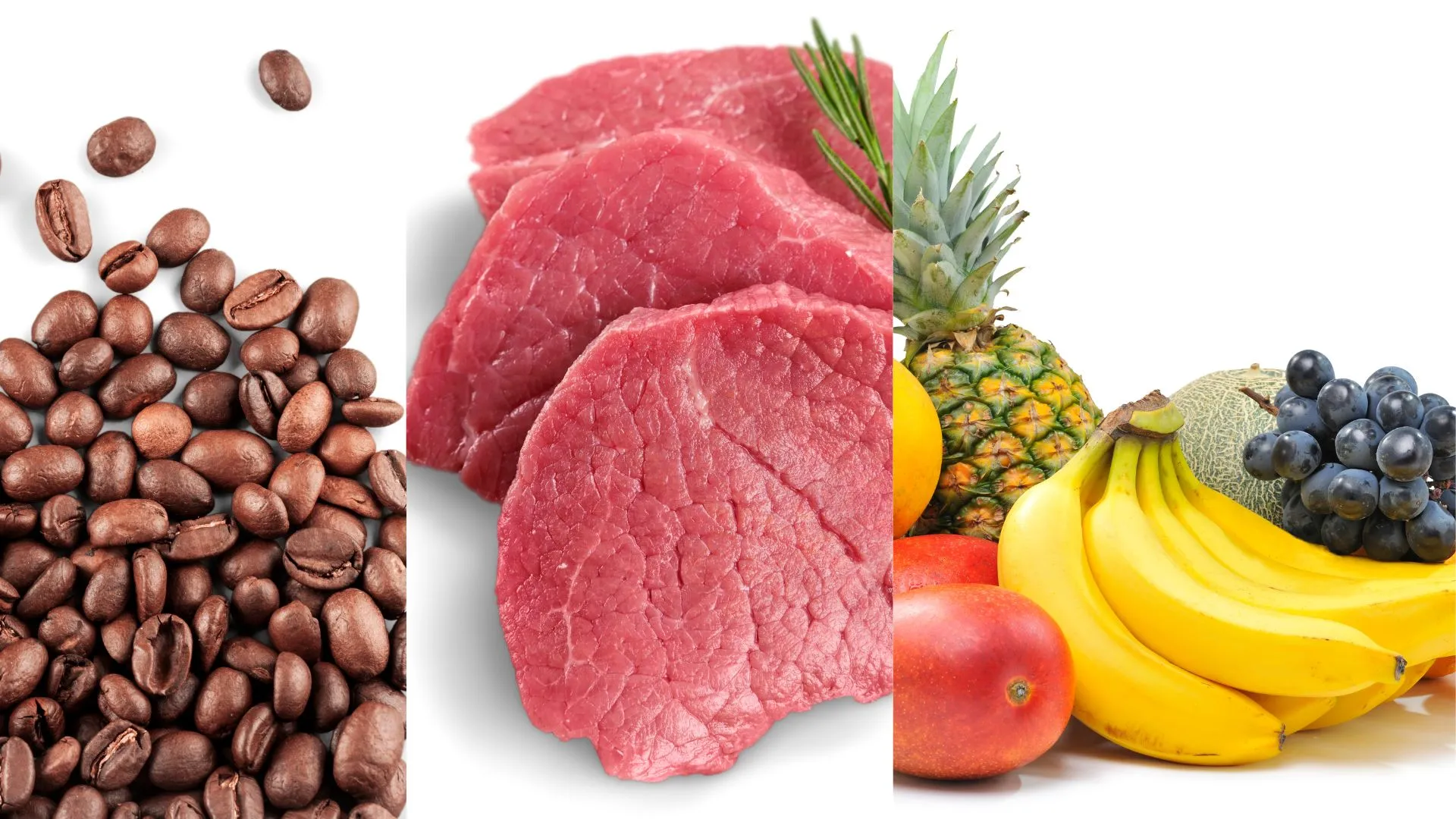 Tarifa dos EUA ameaça exportações de café, carne e frutas