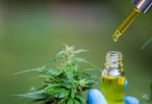 Saiba qual é a primeira cidade de SC a oferecer medicamentos à base de canabidiol pelo SUS