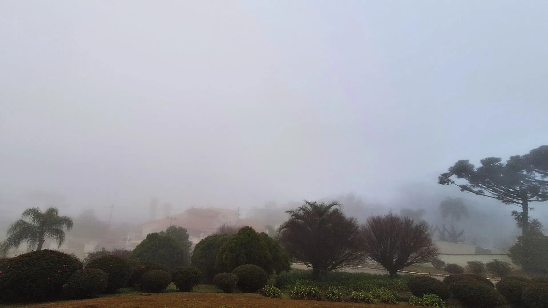 Cidades do Meio-Oeste têm amanhecer com temperaturas negativas nesta quarta