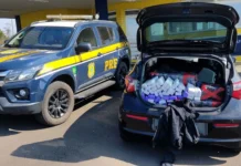 PRF apreende 147 kg de maconha na BR-153 em Água Doce
