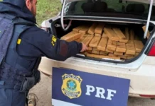 Mais de 350 quilos de maconha são apreendidos pela PRF no Oeste de SC
