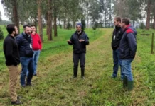 Epagri de Canoinhas investe em produção integrada e se inspira em projeto da UFPR no Paraná