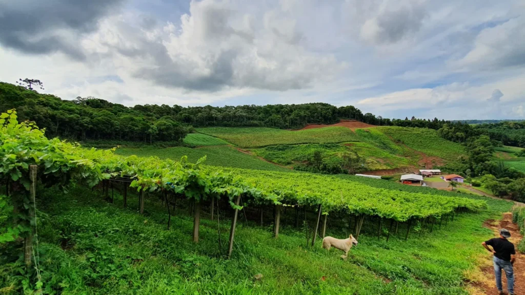 Congresso discute memória e identidade rural em Caçador