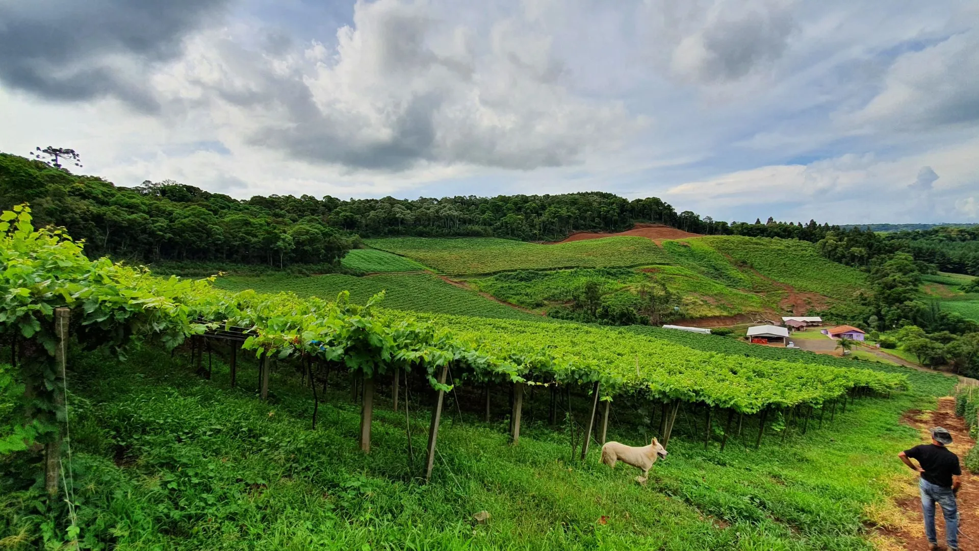 Congresso discute memória e identidade rural em Caçador