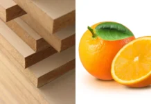 Madeira e laranja estão fora do tarifaço de Trump