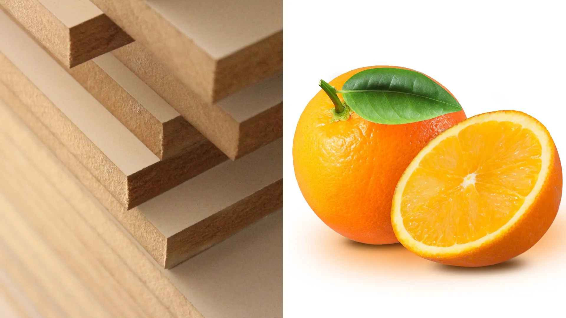 Madeira e laranja estão fora do tarifaço de Trump