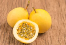 Santa Catarina colhe mais de 71 mil toneladas de maracujá na safra 2025