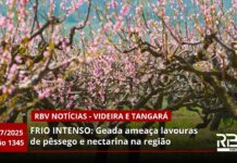 RBV Notícias Videira – 29/07/2025 – Edição 1345