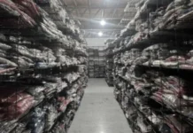 Polícia de SC apreende 19 mil itens falsificados em megaoperação