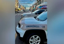 Autor de furtos é preso após ação integrada em Caçador