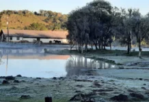 Saiba até quando o frio intenso deve atingir o Brasil Previsão do Tempo: Santa Catarina com sol predominando e dia frio