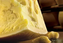 Aurora conclui compra da Gran Mestri e entra no mercado de queijos especiais