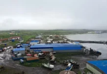 Terremoto de 8,8 provoca tsunamis e evacuações em vários países