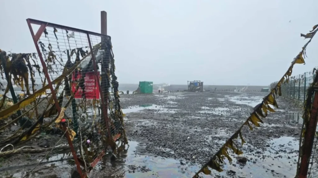 América do Sul em alerta de tsunami devido a terremoto de 8,8 na costa da Rússia