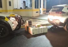 Vinhos ilegais são apreendidos pela polícia em Lebon Régis