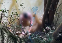 Bombeiro de folga salva homem de afogamento em Herval d’Oeste