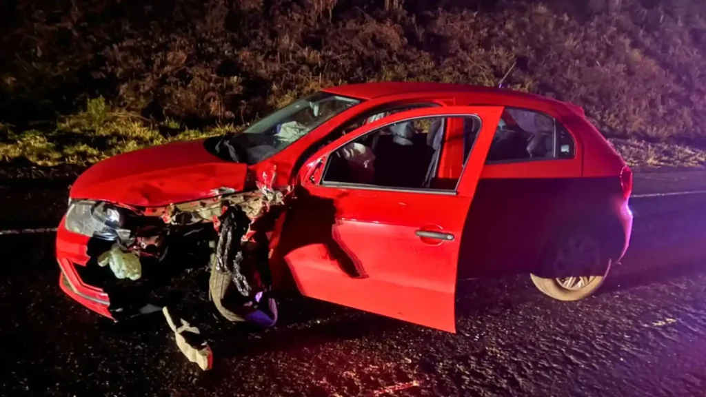 Motociclista morre após colisão na SC-350 em Lebon Régis