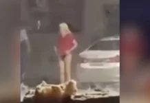 De calcinha preta e peruca loira, pastor é flagrado novamente em “investigação” pelas ruas