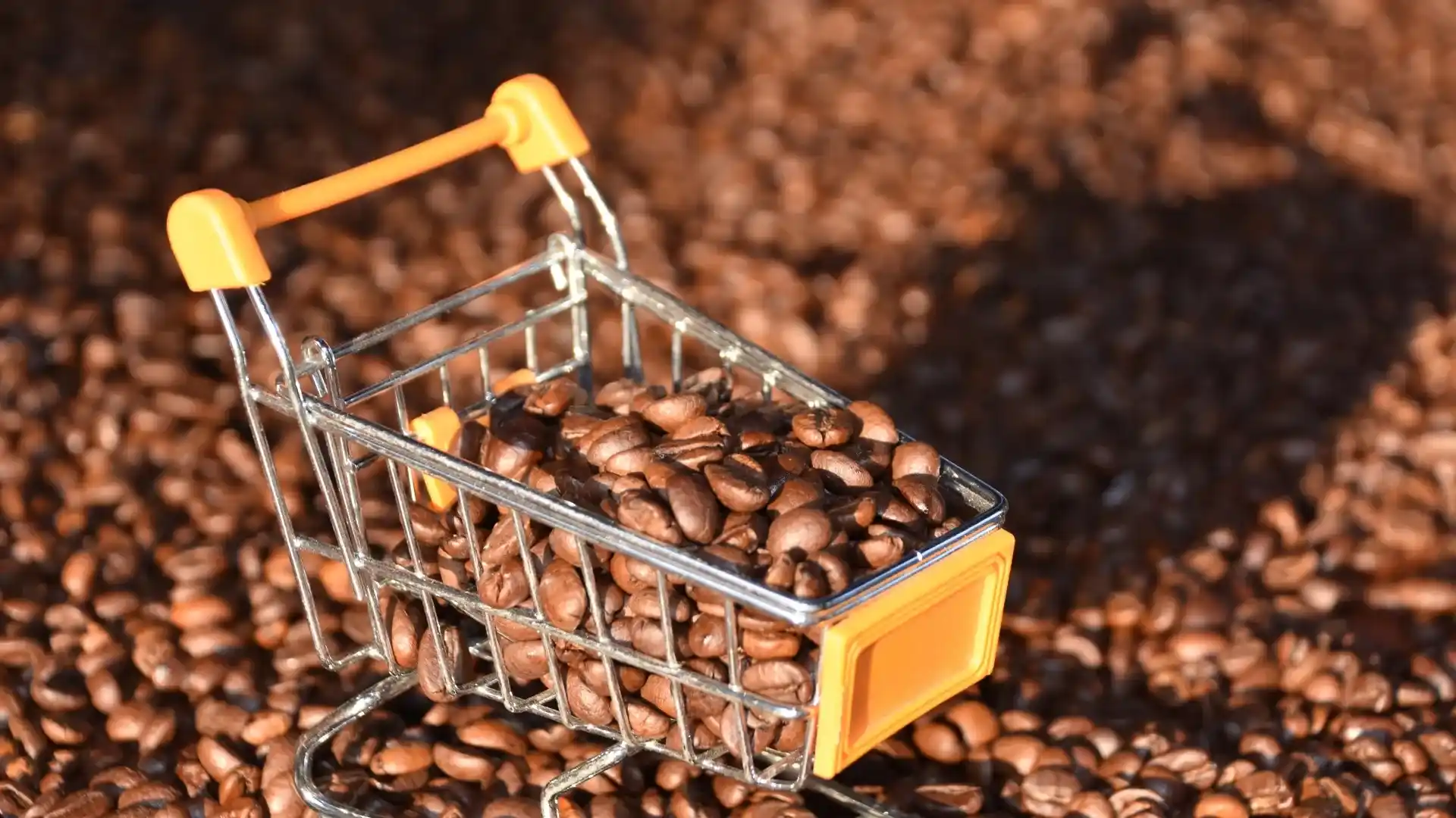 Preço do café reduz em Videira e segue tendência nacional